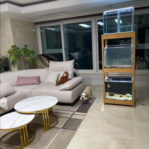 (경기 북부) 칸후, 리글라스 2자 광폭 올디아망 수조