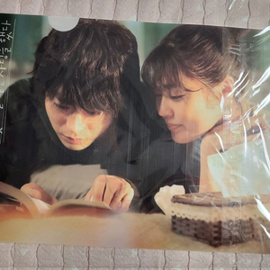 꽃다발같은사랑을했다 L파일 1장