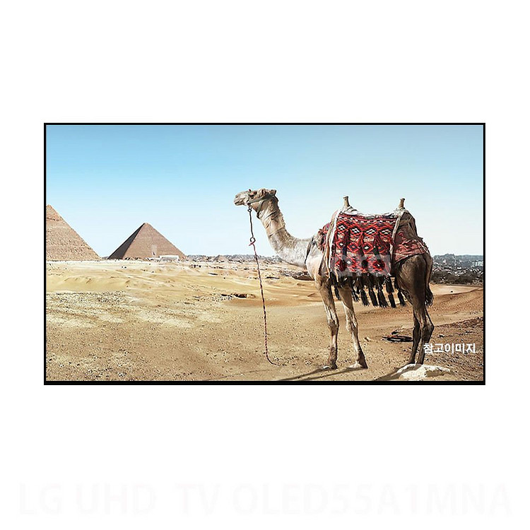 최신 엘지 65인치 OLED 스마트 TV 특가한정판매!--1