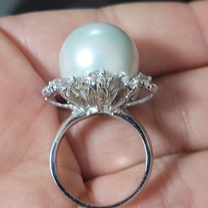 14k 17mm 왕 진주 반지