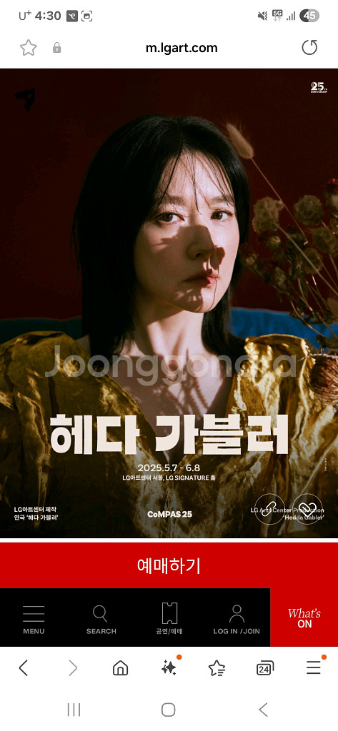 연극 헤다 가블러 R석 2매 팝니다(6.6) 2장6만--0