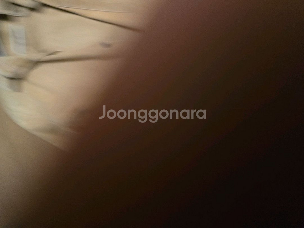 보세--2