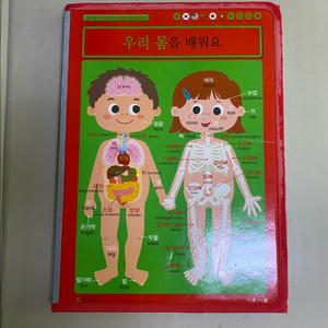 나무와 햇살 병풍학교(책)