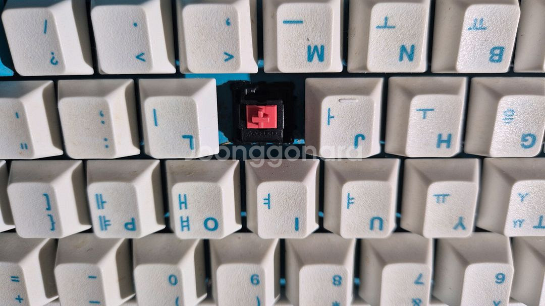 레오폴드 FC900RS 적축 기계식키보드--1