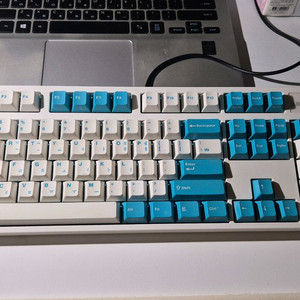 레오폴드 FC900RS 적축 기계식키보드