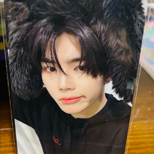 제로베이스원 박건욱 토끼모자 포카