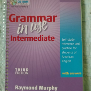 grammar in use intermediate 3판
