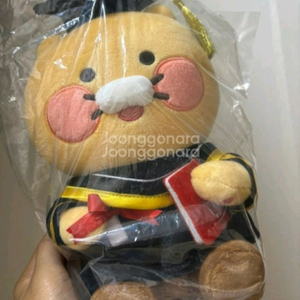 춘식이 학사모인형 팝니다!