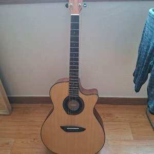 고퍼우드 G130CE 중고 판매합니다.