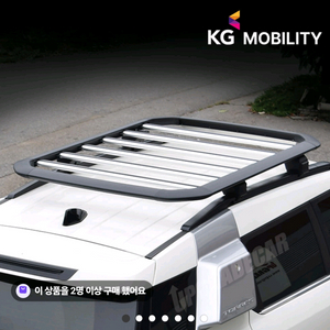 토레스 루프플랫캐리어 삽니다