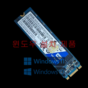 윈도우 설치 WD M.2 SATA SSD 250GB