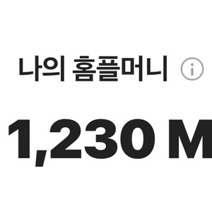 홈플러스 홈플머니 1230원