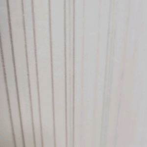 스타벅스 프리퀀시