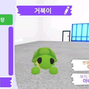 입양하세요 펫 거북이 판매합니다.
