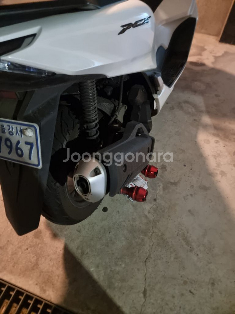 pcx 23년식 판매--7