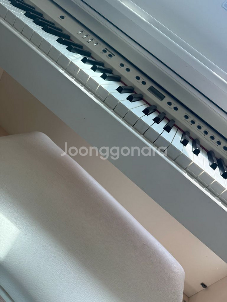 다이나톤 전자피아노--2