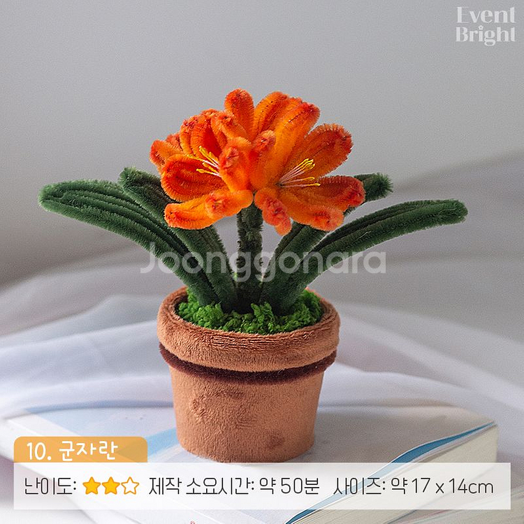 [10. 군자란] 꽃 화분 모루 DIY 16종--1
