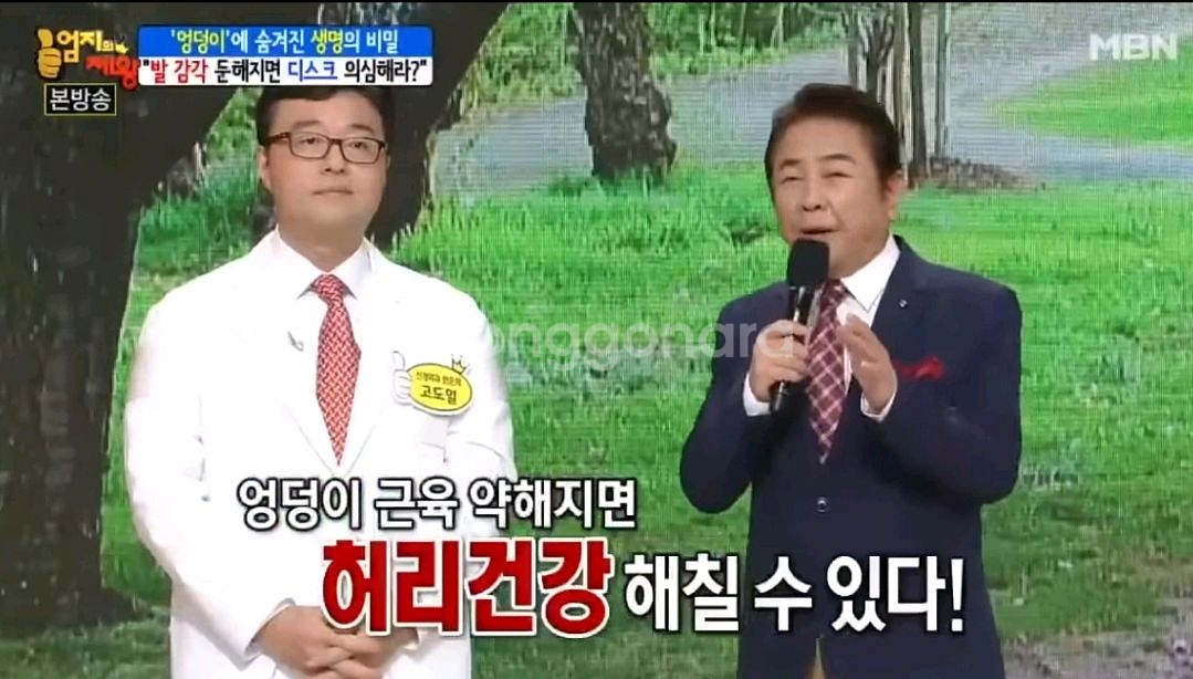 바디ㄷㅌ 3종세트 가져가세요 정가514만원--8