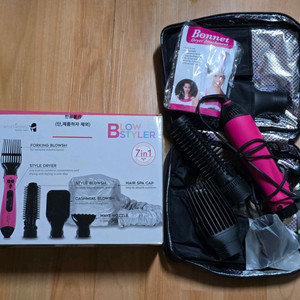 아티스트 태양 BLOW STYLER 블로우 스타일러