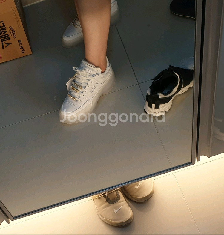 리복정품 C클럽 카디비225 새상품(225-230)--5