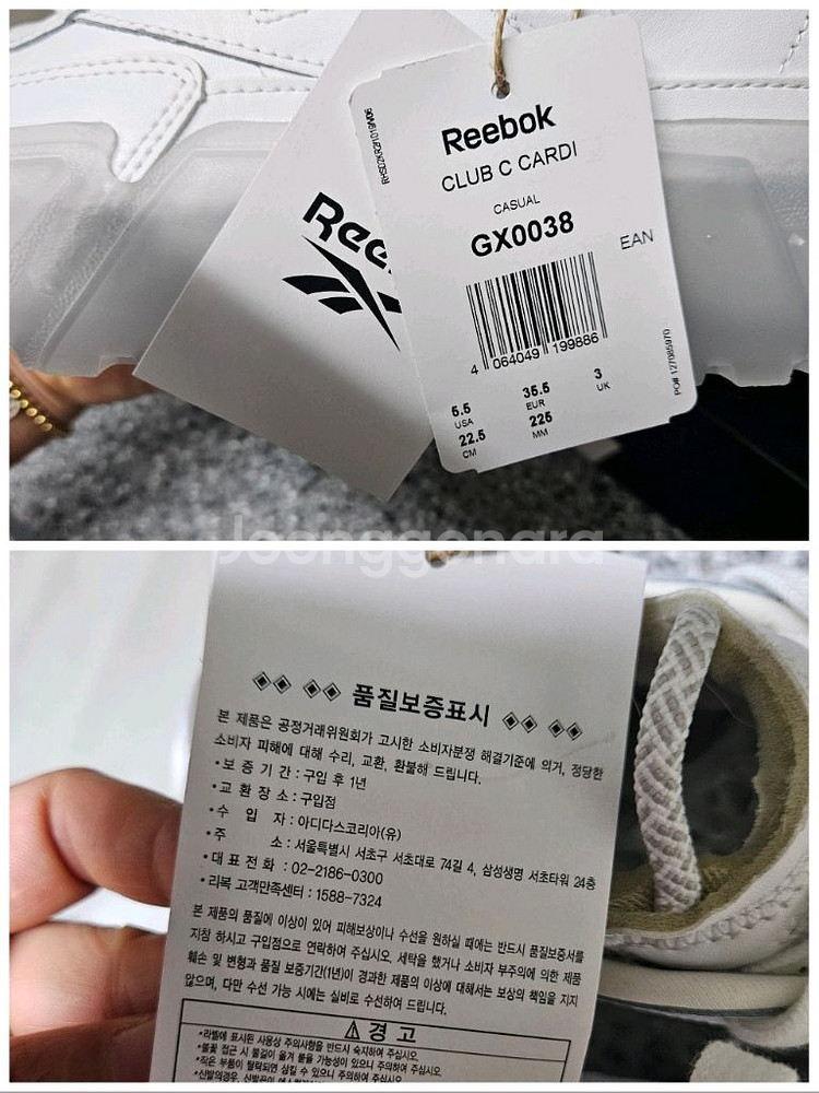 리복정품 C클럽 카디비225 새상품(225-230)--7