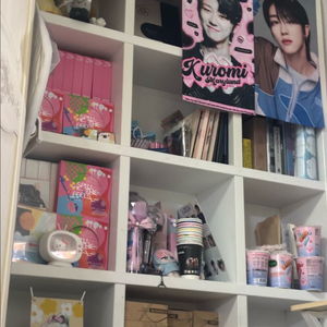세븐틴 굿즈 랜박