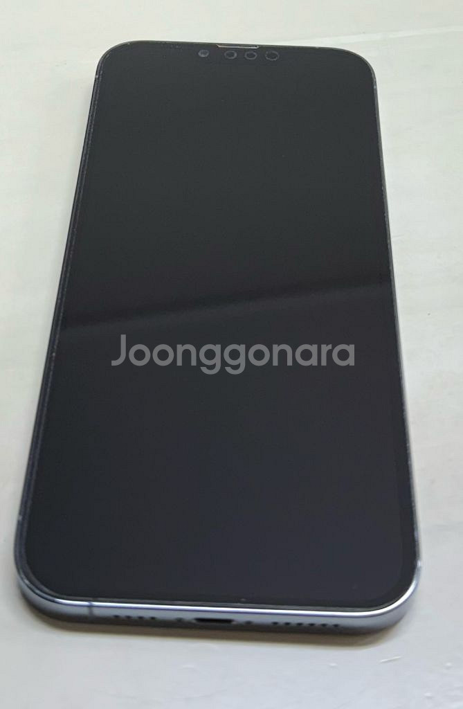 아이폰 13프로맥스 1TB--1