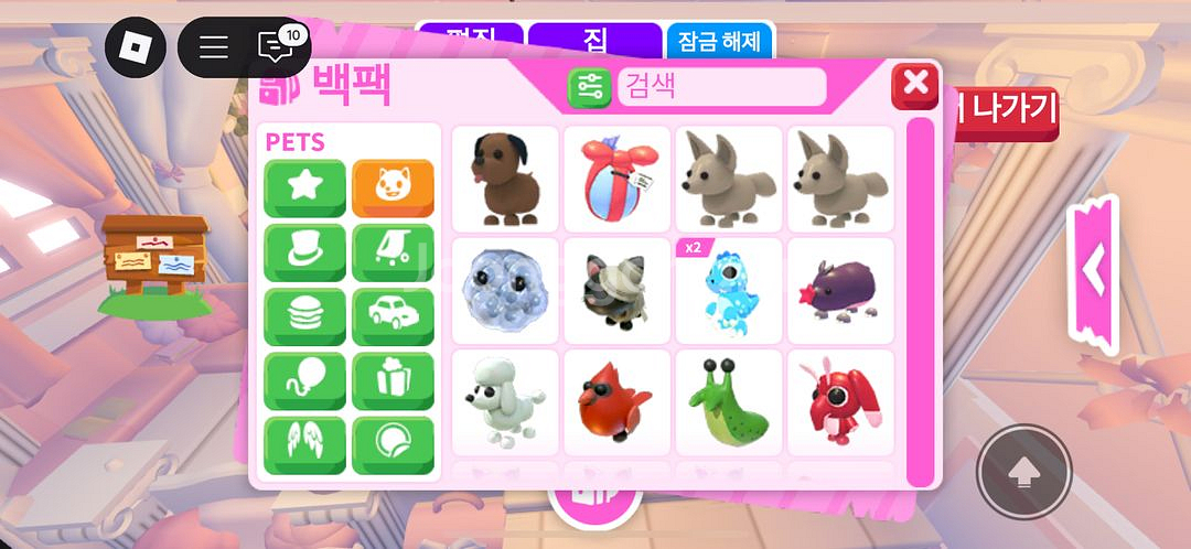 입양하세요 펫 현거 싸게 팔아요 싸게 제시가능--2