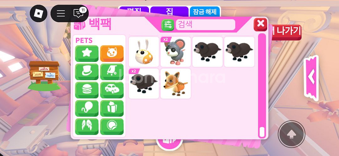 입양하세요 펫 현거 싸게 팔아요 싸게 제시가능--4
