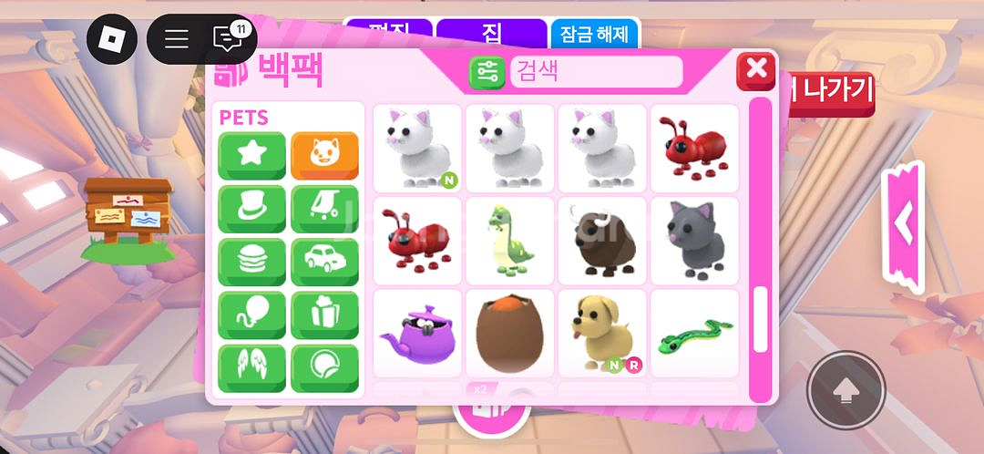 입양하세요 펫 현거 싸게 팔아요 싸게 제시가능--3