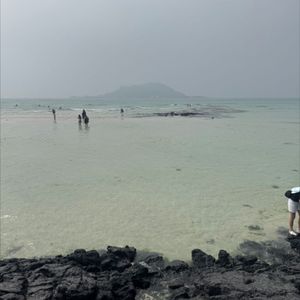 쿠팡 대리 80퍼 구매합니다 (35만원짜리)