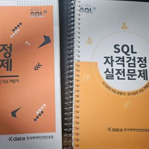 sql자격검정 실전문제 노랭이 필기 없음