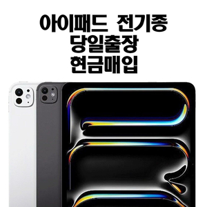 이이패드 전기종 삽니다
