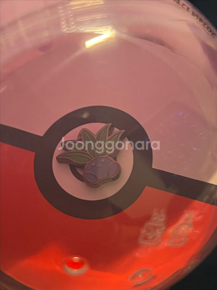 포켓몬 미니 핀 뱃지 뚜벅초 팝니다--2