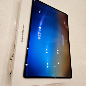 삼성 갤럭시탭 S9 울트라 5G 셀룰러 512GB