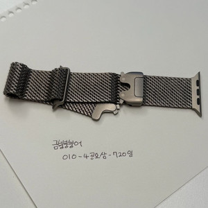 애플워치 티타늄 밀레니즈 루프 M
