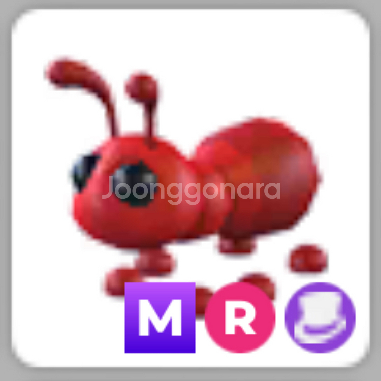 입양하세요 MR 메가 타는 개미--0