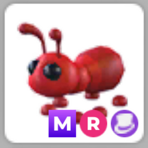 입양하세요 MR 메가 타는 개미