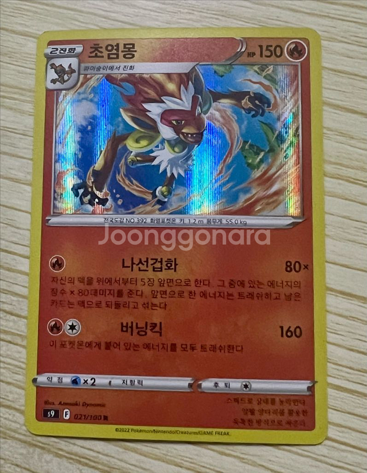[포켓몬 카드] 초염몽--0