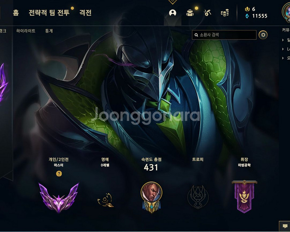 리그오브레전드 롤개인기사 롤듀오맡김 LOL--0