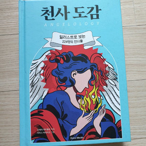 천사 도감 양장본