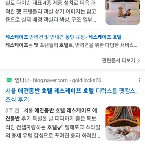 레스케이프 호텔 펫 스위트 객실 6월 7일 숙박 양도