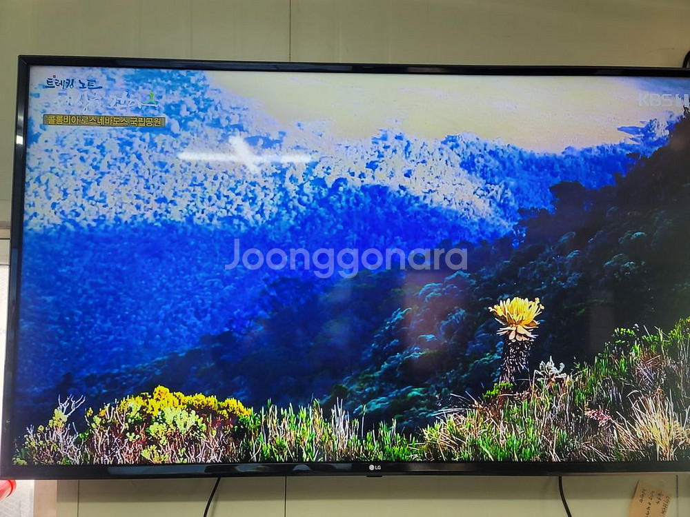 LG 55인지 스마트TV S급--1
