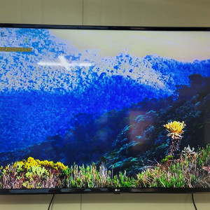 LG 55인지 스마트TV