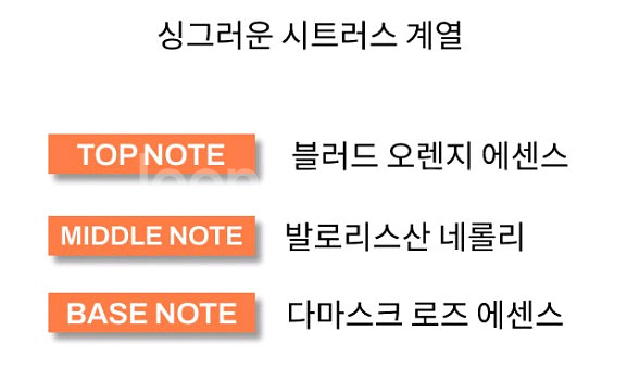 디올 쟈도르 오드뚜왈렛 100ml--3