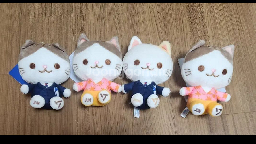 세가 세븐틴 고양이 인형 준--0