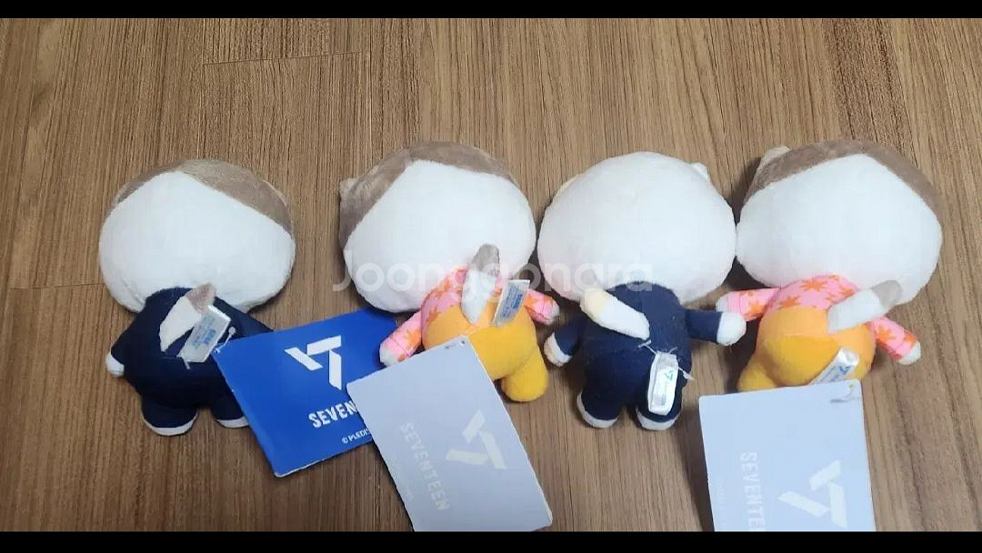 세가 세븐틴 고양이 인형 준--1