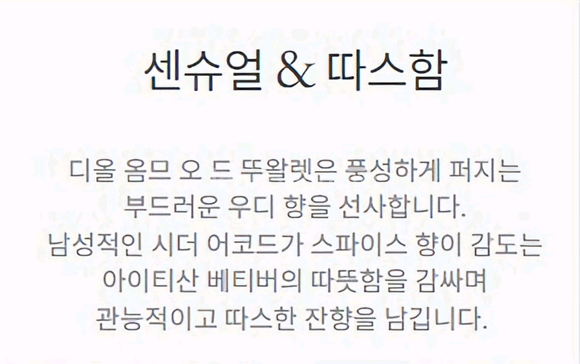 디올 옴므 오드뚜왈렛 100ml--2