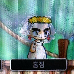 메이플랜드 s급 두글자 닉네임 판매