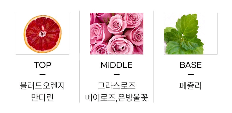 미스 디올 오드뚜왈렛 100ml--4
